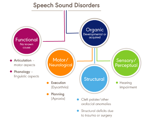 Children with Speech Sound Disorders (SSD)