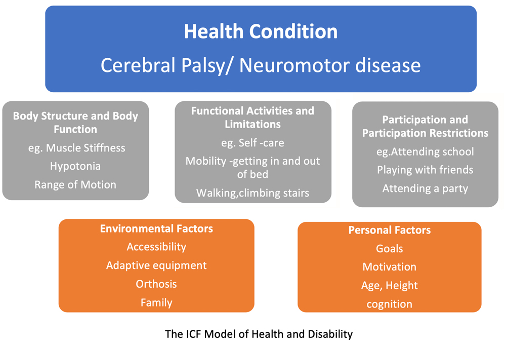 International Classification of Functioning, Disability and Health (ICF) model