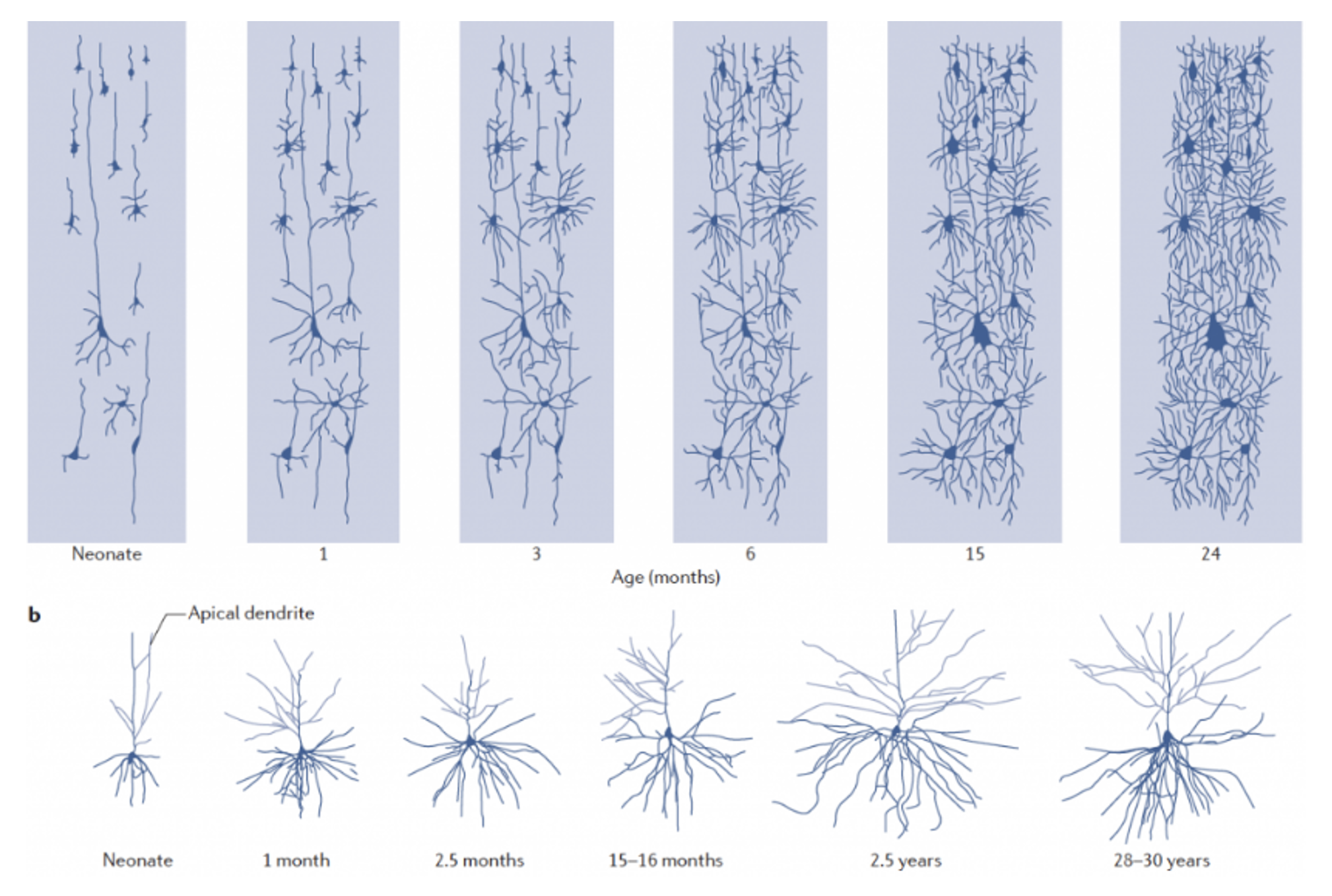 Blog Image figure 1