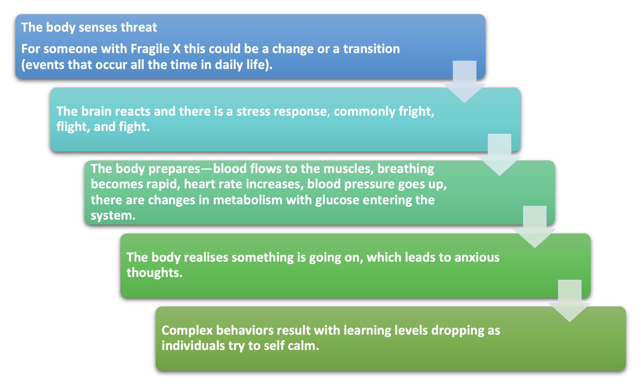 Physiological symptoms of Hyperarousal